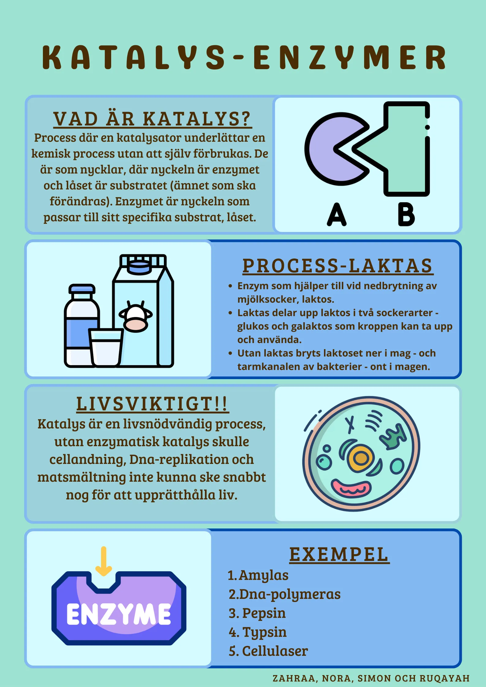 Exempelposter om katalys-enzymer